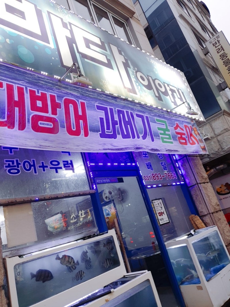 나만 알고 싶은 회 맛집 :)곡반정동 바다이야기 : 네이버 블로그