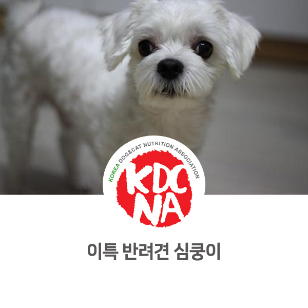  [연예인 강아지편] 이특 반려견 심쿵이_03
