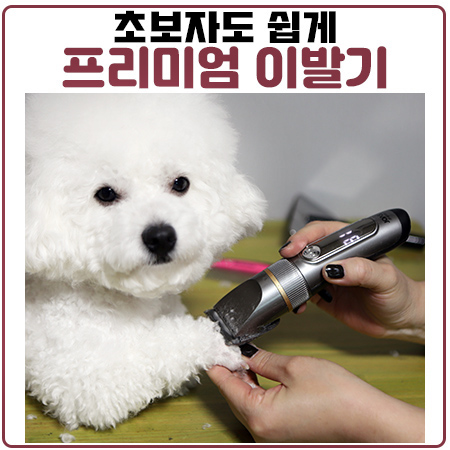 조아스 저소음 저자극 방수 프리미엄 애견 이발기면 초보도 셀프미용 가능! 조아스 저소음 저자극 방수 프리미엄 애견 이발기면 초보도 셀프미용 가능!