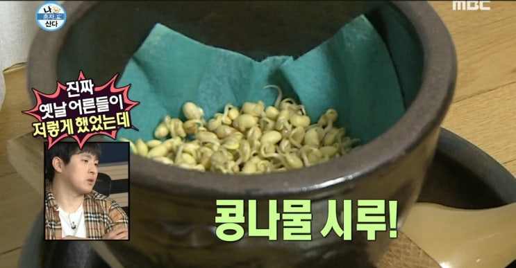 콩나물시루 나혼자 산다 집에서 콩나물 기르기 콩나물시루 나혼자 산다 집에서 콩나물 기르기
