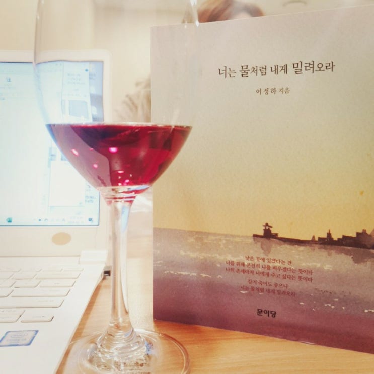 감성시인 이정하_너는 물처럼 내게 밀려오라