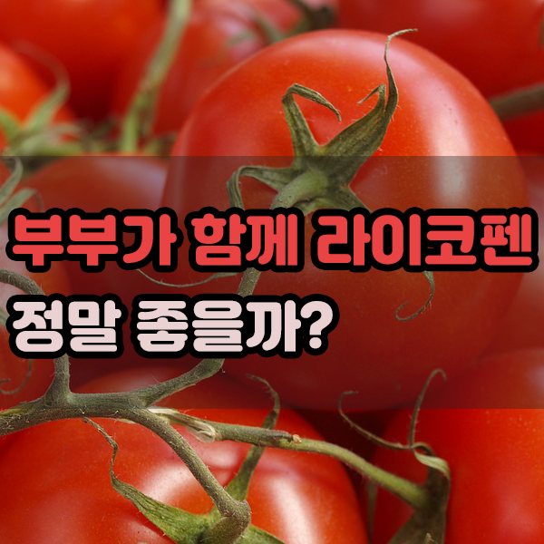  부부가 함께 라이코펜 제품을 분석해 본다.
