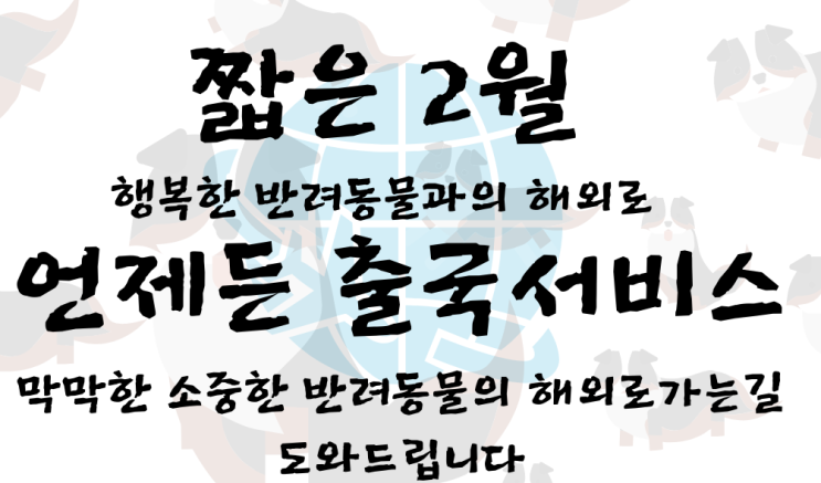  강아지필리핀검역허가운송반려동물해외운송고양이검역