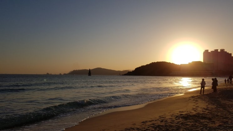  대구 근교 부산 여행  : 해운대, 동백섬, 아쿠아리움