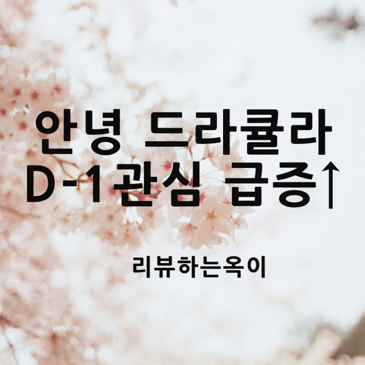  "안녕 드라큘라 D-1 김다예 연출 서현, 이지현,이주빈, 연기력 중점 두고 캐스팅 관심집중↑