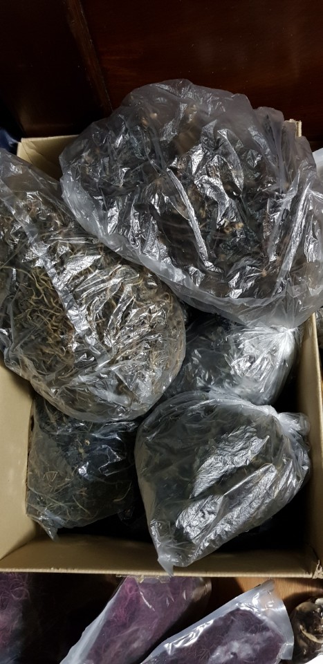  묻지마^^  산나물 나눔