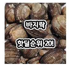 [핫딜] 바지락 BEST20핫딜 정리! 