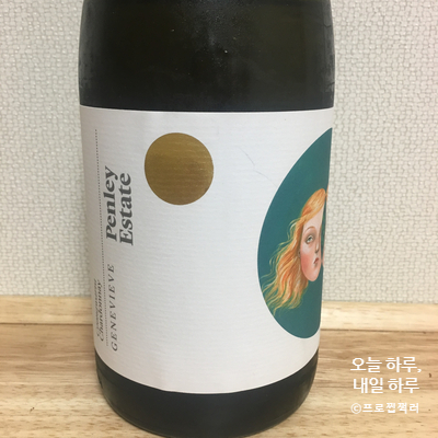  [와인리뷰] 펜리 에스테이트 제네비브 샤도네이 2017 Penley Estate Genevieve Chardonnay   2017