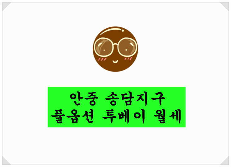 안중 송담지구 풀옵션 투베이 저렴한 월세~