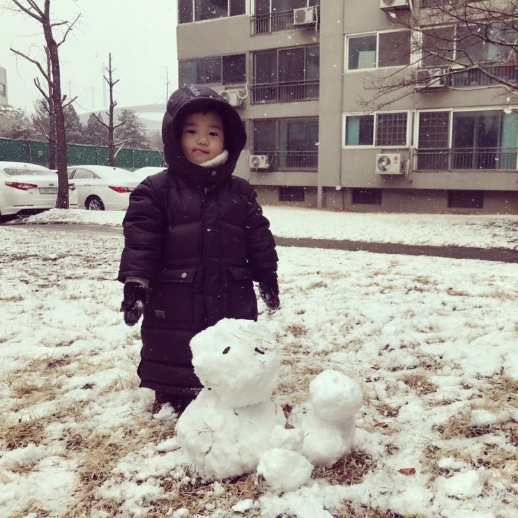 눈 눈 눈 눈 눈 눈