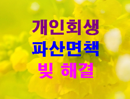  창원 마산 김해 진주 개인회생 파산 신청 전문 법무사의 채무해결 사례