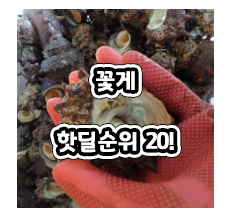 요즘 핫한  꽃게 후기순위20특가세일 확인! 