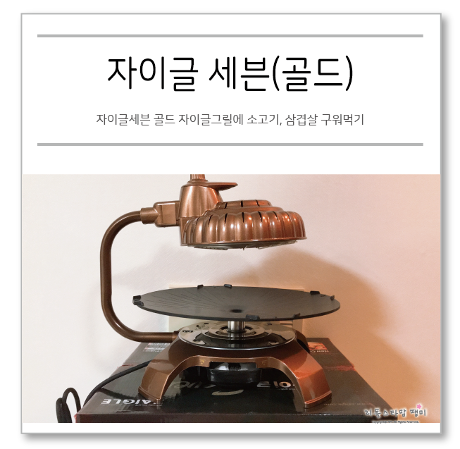  자이글세븐골드 자이글그릴에 소고기, 삼겹살 구워먹기