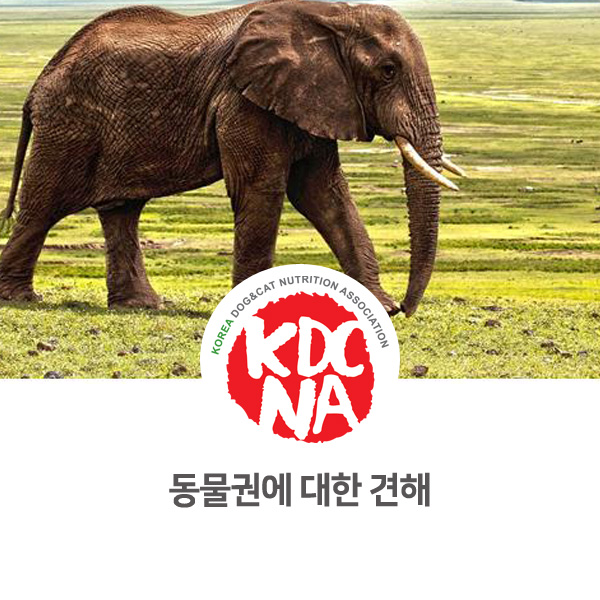  [반려인이 알아야 할 필수 정보] 동물권에 대해서 알아보자_40