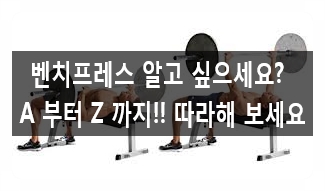  가슴운동 벤치프레스 방법 A 부터 Z 까지! (수원스포츠아일랜드)