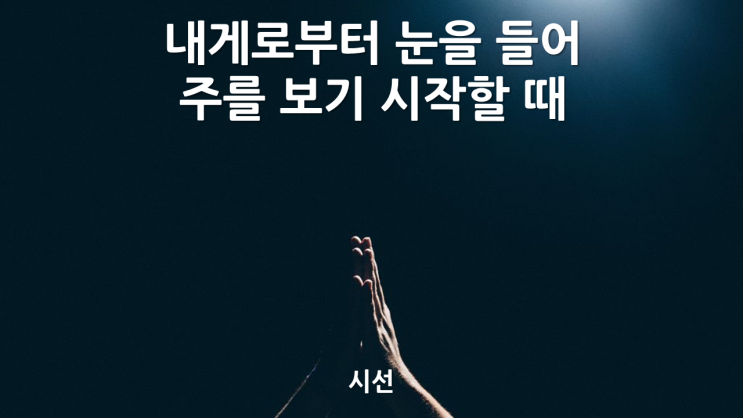 시선