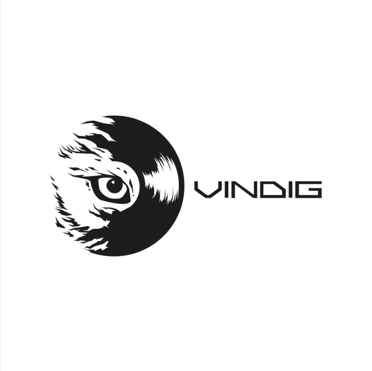 [VINDIG] 독일 바이닐 디지털 웹샵(Vinyl Digital Webshop) 바이닐 구입기