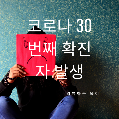  '코로나19' 30번째 확진자 발생 '해외 안간 부부' 29번째 확진자 아내도 감염