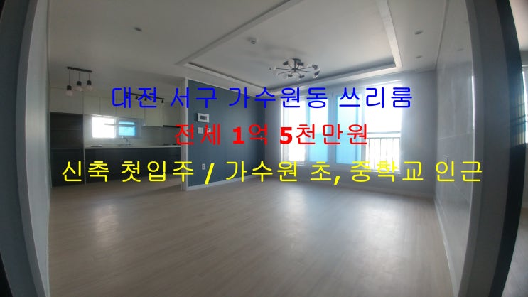 대전 서구 가수원동 가수원 초, 중학교 인근에 있는 신축 첫입주 !! 저렴한 주인세대 쓰리룸 전세 매물입니다 ^^