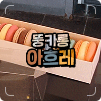  목포 아흐레 마카롱이 최고죠