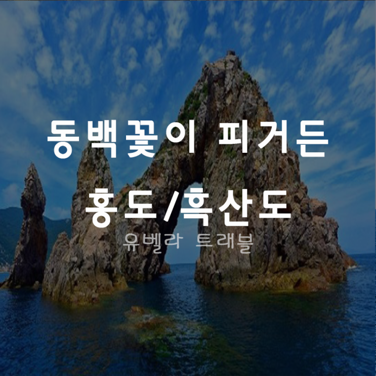  [목포출발] 홍도 흑산도 1박2일 여행 경남/부산출발 왕복셔틀운행