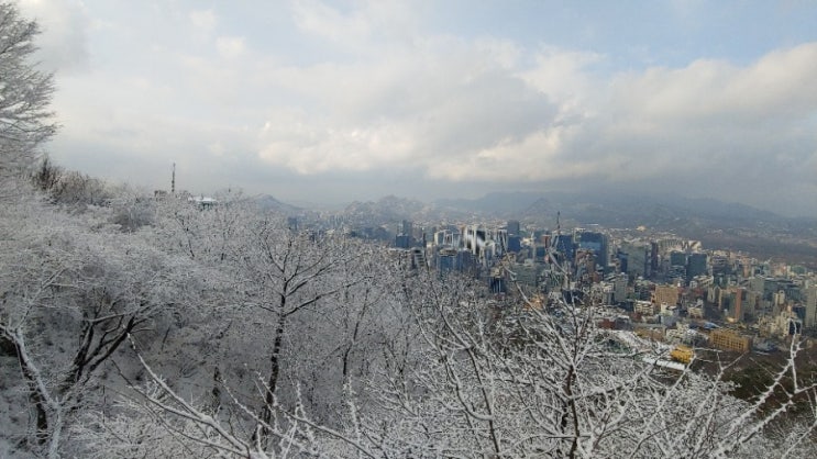 (서울)  눈오는날 서울 남산의 풍경