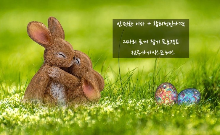  [전주이사 가가익스프레스] 안전한 이사에 합리적인 가격까지?! 두마리 토끼 챙기기