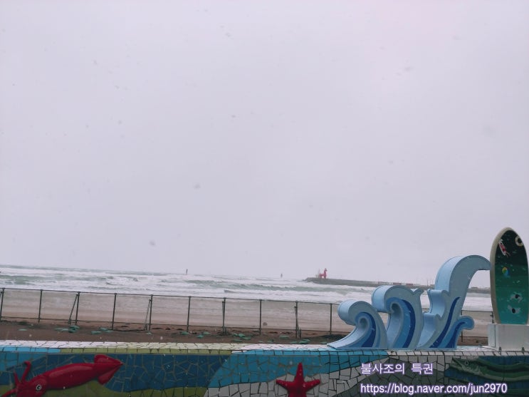 제주도 드라이브 코스 2탄(파도, 비, 바람, 태풍, 눈, 흐린 날, 석양, 일몰)
