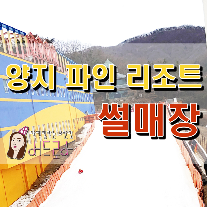  양지 파인리조트썰매장 오산에서40분 걸렸어요