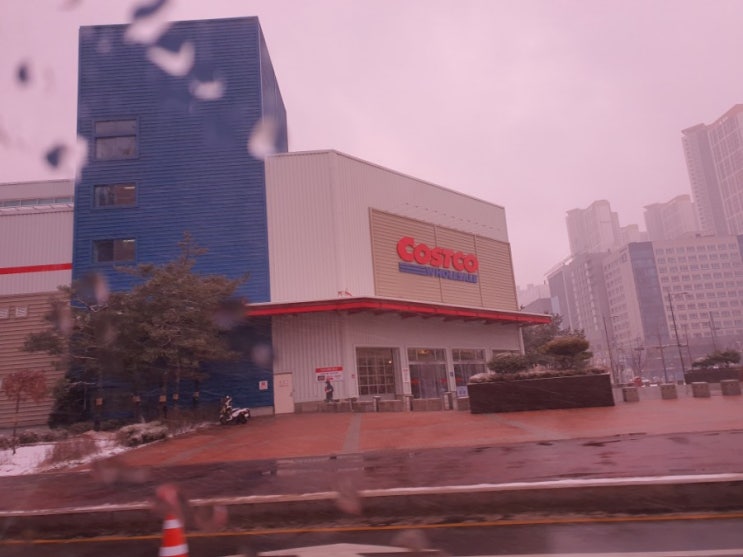  코스트코 광명점 2월3째주 할인품목 및 휴무일