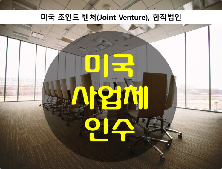  조인트 벤처(Joint Venture)/ 미국의 사업체 인수 및 합작법인