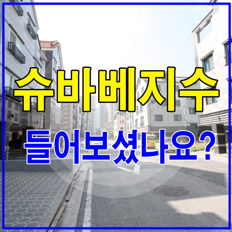  슈바베지수라고 들어보셨나요?