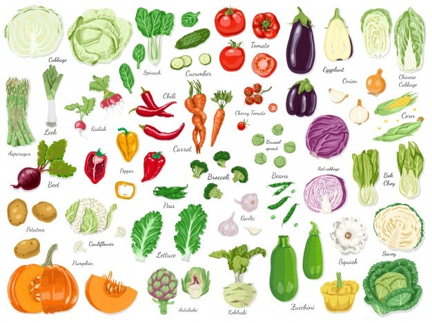 채소 / 야채 영어로 - Vegetable 의 종류를 알아볼까나, 난 Vegetarian 이 아니다. : 네이버 블로그