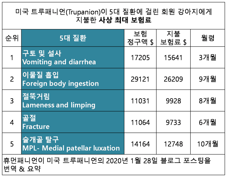  미국 어린 강아지가 잘 걸리는 5대 질환과 지불 보험료