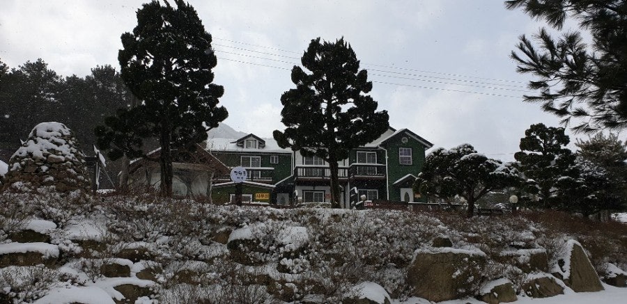 Jeongwondongpensyeon photo 3