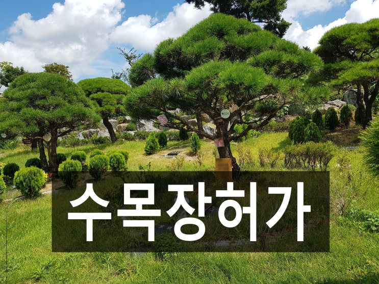  수목장허가 받은 곳 정리 해보았습니다.