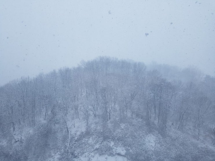  55개월,밤톨이 5번째 겨울이야기!