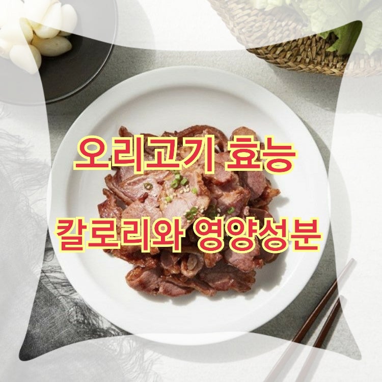 오리고기 효능 및 칼로리 알아봐요 - A2