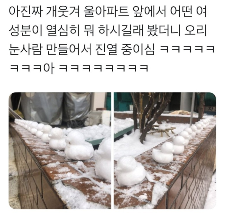 오리 눈사람만들기 이런 귀여운 물건이!!?ㅋㅋㅋ