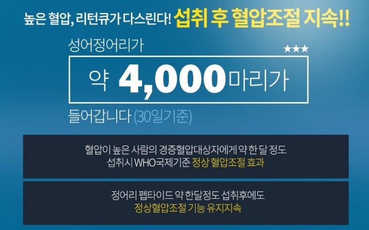  혈당 상승 억제 높은 혈압조절 정상적인 면역기능 리턴큐