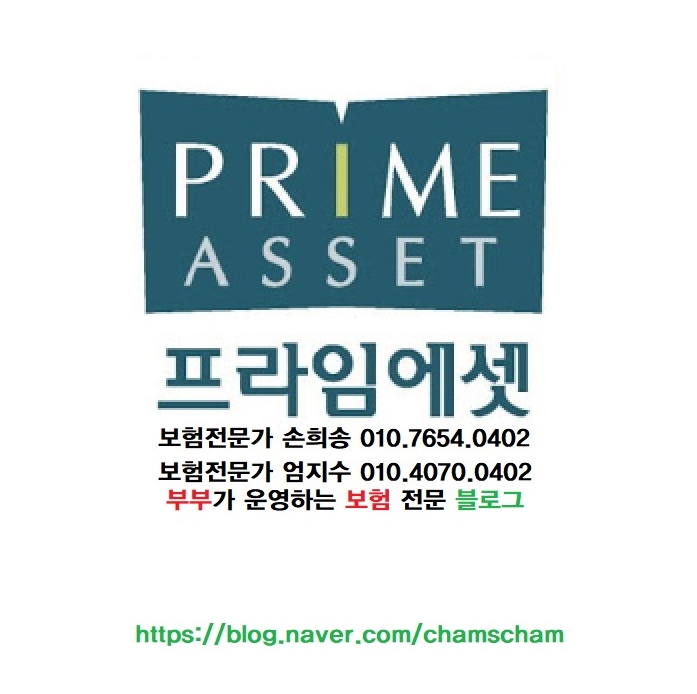  보험전문가 미스타손-보험 상담 방법/보험 리모델링/보험료 다이어트