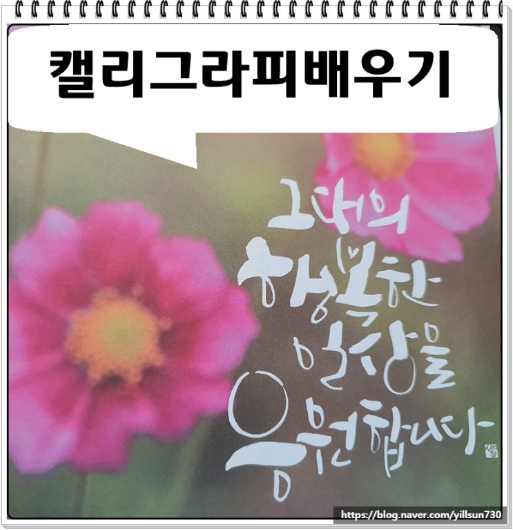  캘리그라피배우기 부업 창업까지