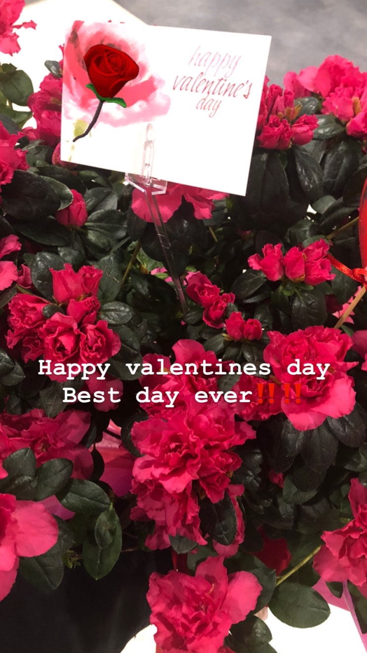  Happy valentines day 보내셨나요?! 프롬 밴쿠버