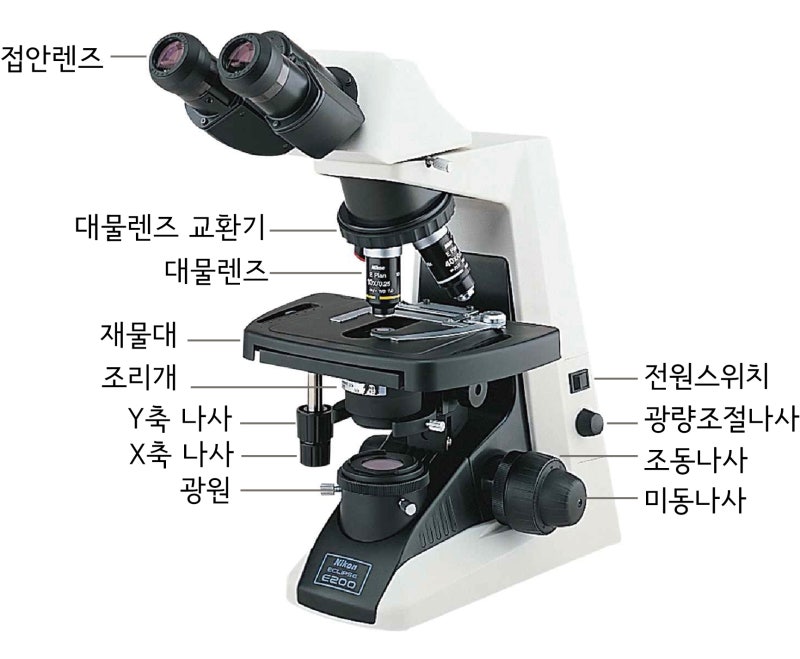 금 안에서 이동하는 전자를 확인하자! 광학 현미경 실험 전략 개발