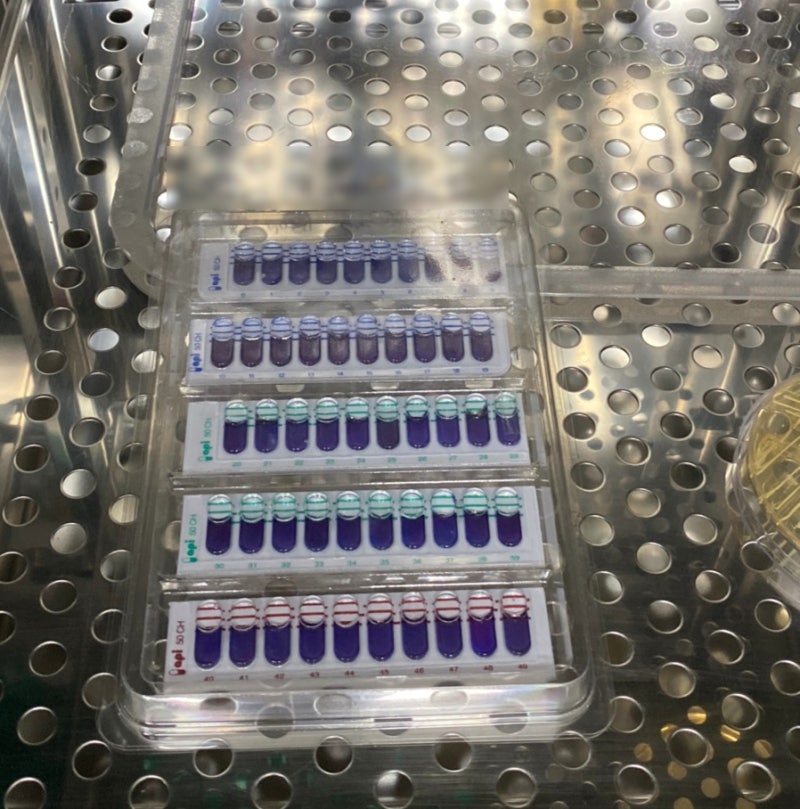 API 50CH, 50 CHL Medium : 네이버 블로그