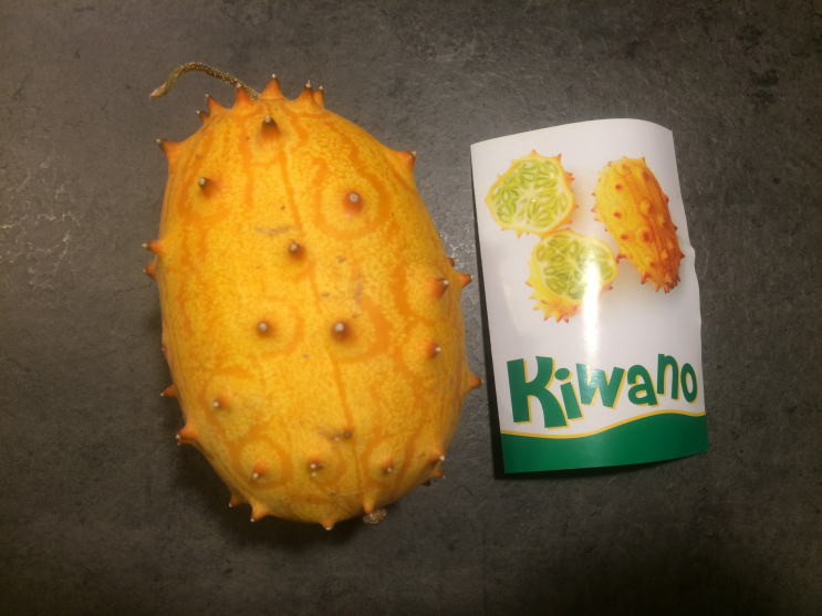  키와노(Kiwano)