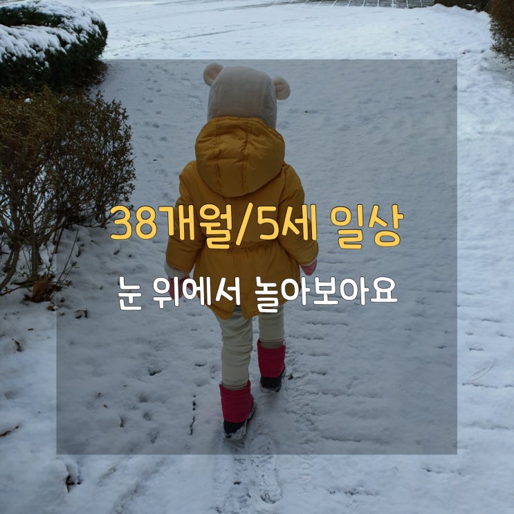  [일상기록/38개월] 눈이 많이 왔어요️ 눈 놀이 일상