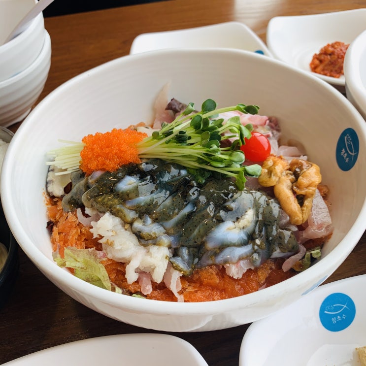  [속초여행] 토론토에서 한국으로 짧게 떠나는 휴가