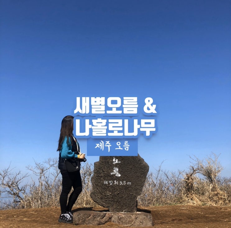 제주 오름 새별오름과 나홀로나무 (들불축제 취소)
