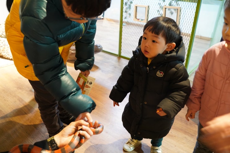  대전 아기랑 갈만한곳 티놀자 애니멀파크 실내 동물원 키즈카페 추천